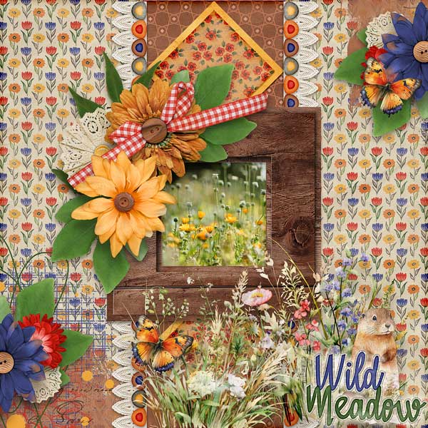Wild Meadow