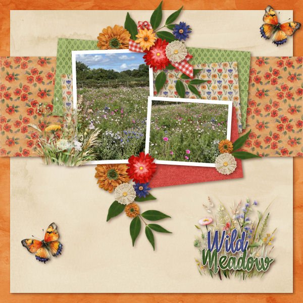 Wild Meadow