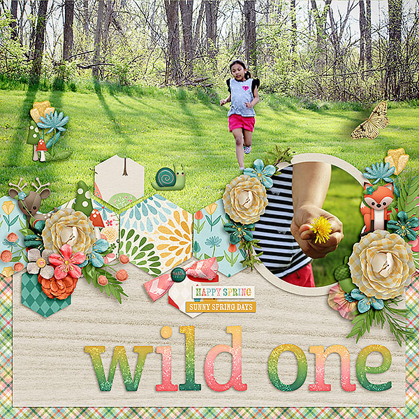 Wild One