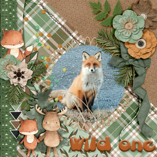 Wild-one