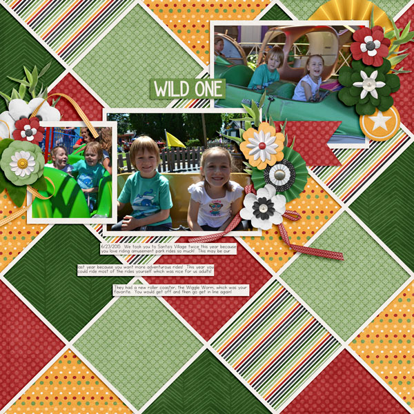 Wild One