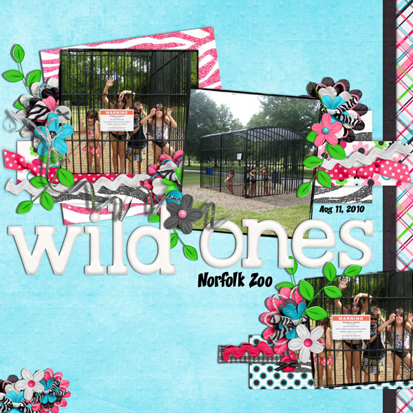 wild ones