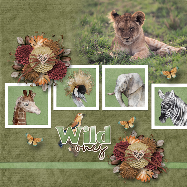 Wild ones