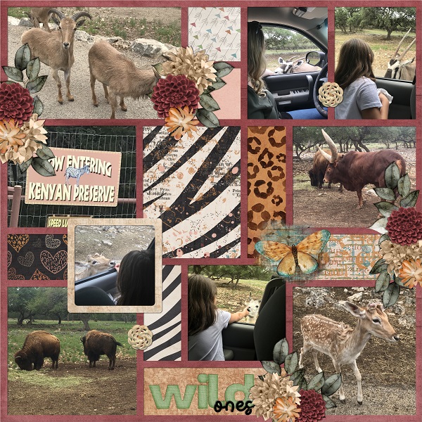 Wild Ones