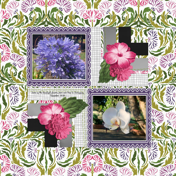 Wild Orchids