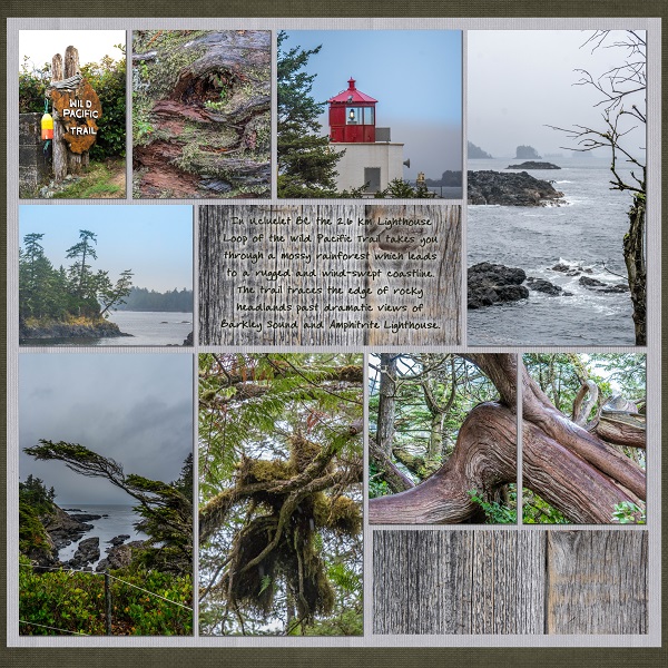 Wild Pacific Trail