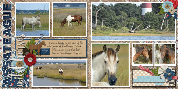 Wild Ponies