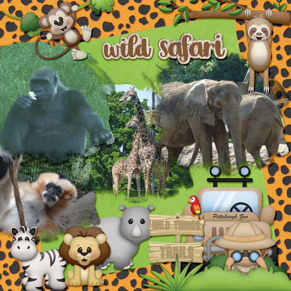 Wild Safari