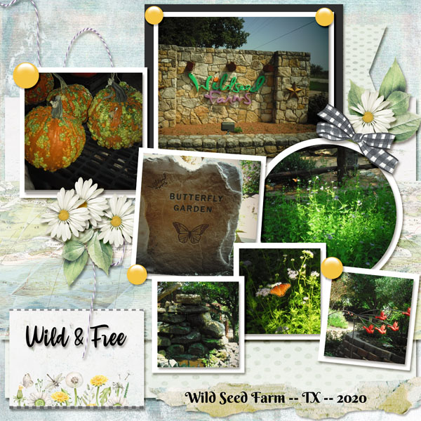 Wild Seed Farm -- TX