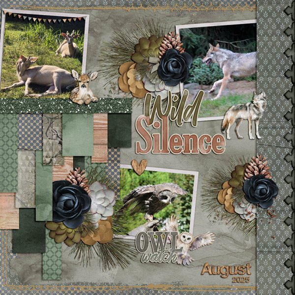 wild silence
