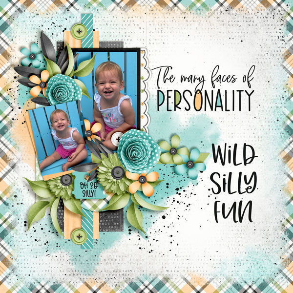 Wild-Silly-Fun