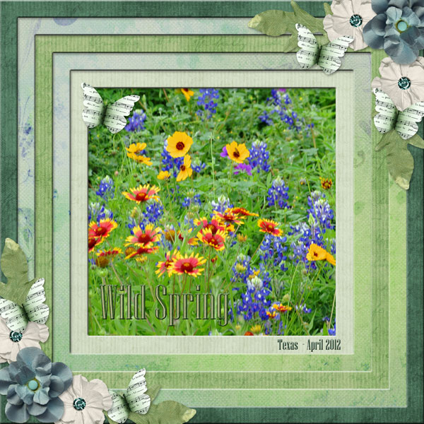 Wild Spring - Texas - April 2012