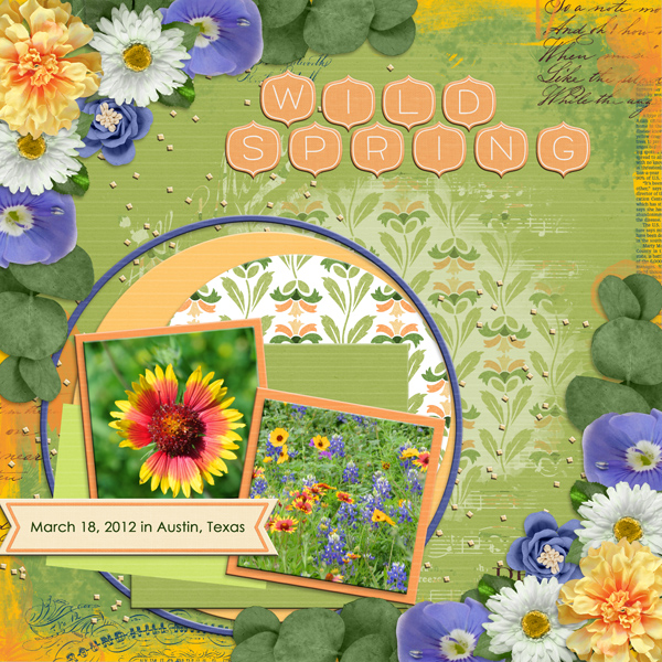 WILD SPRING