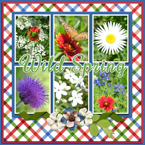 Wild Spring