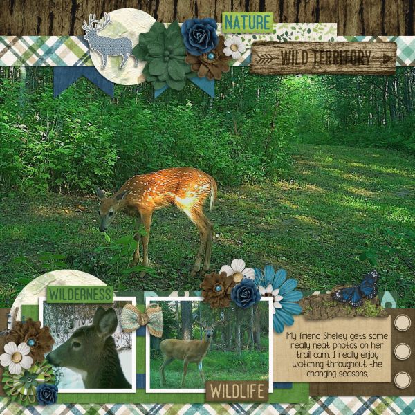 Wild Territory