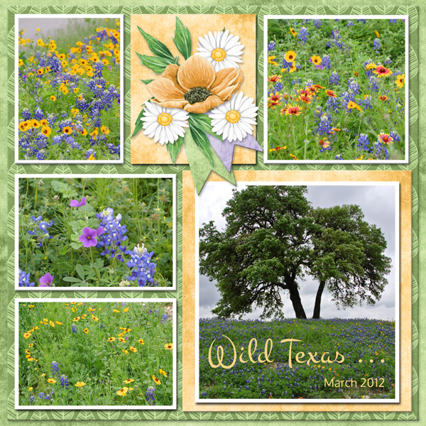 Wild Texas ...