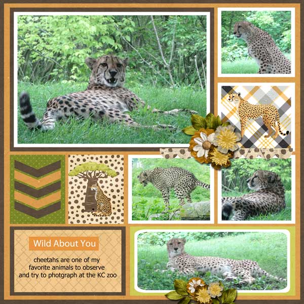 wild-thing-scrapbook-crazy-.jpg