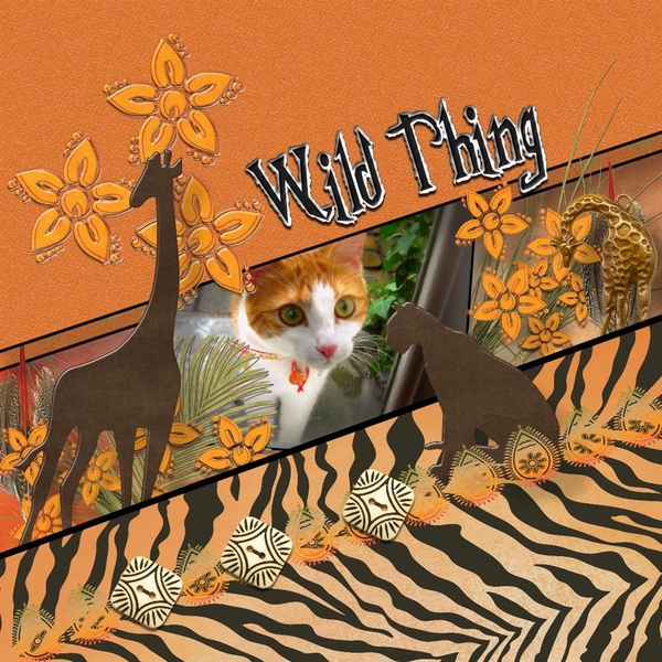 Wild Thing