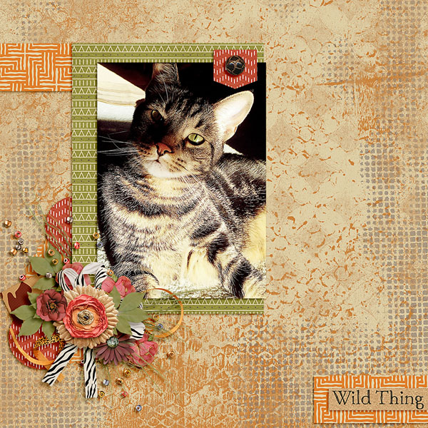 wild thing