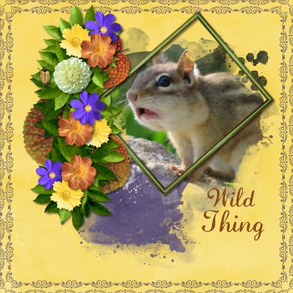 Wild Thing