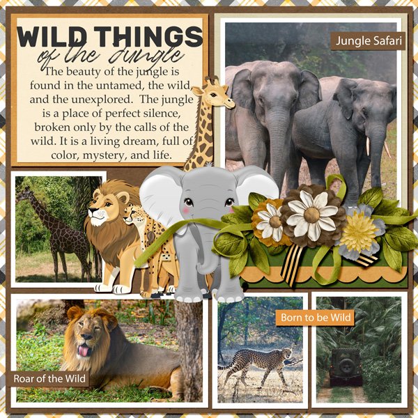 Wild Things of the Jungle