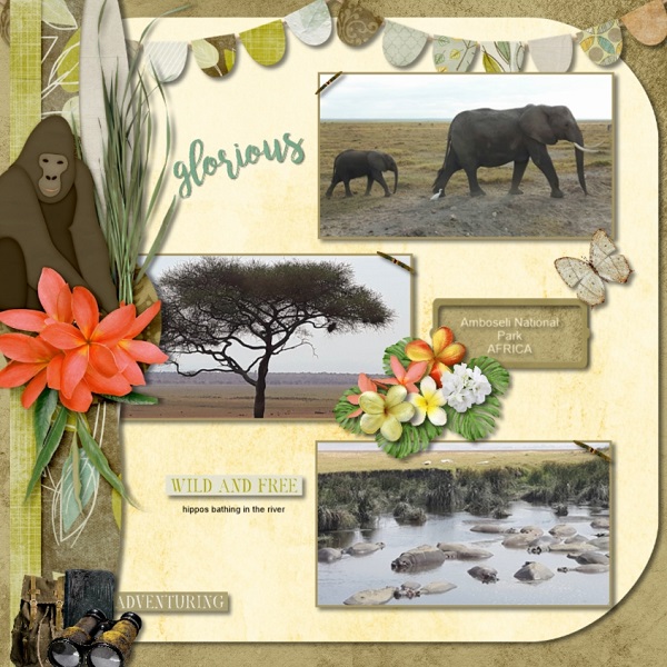 Wild Things