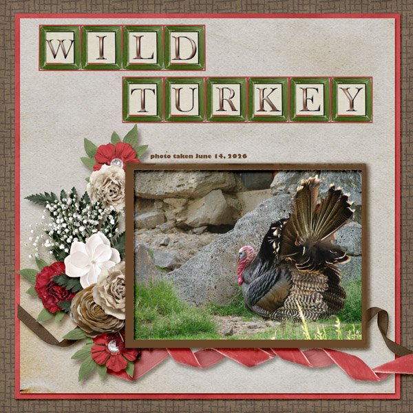Wild Turkey small.jpg