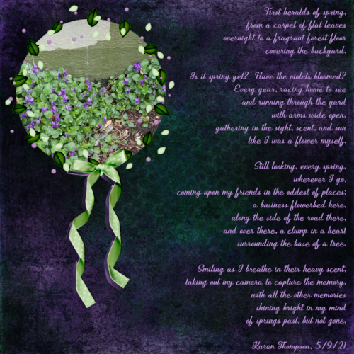 Wild Violets