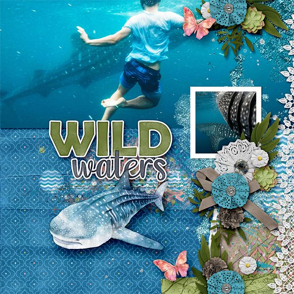 Wild Waters