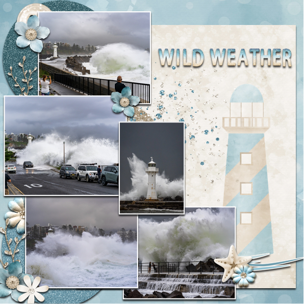 Wild Weather