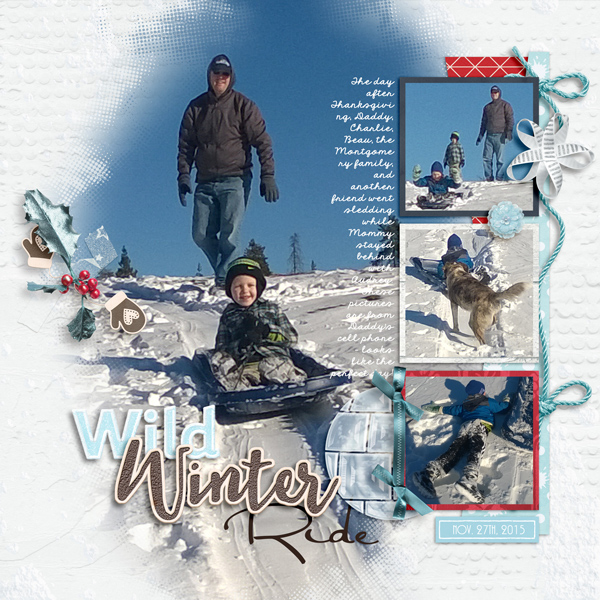 Wild Winter Ride