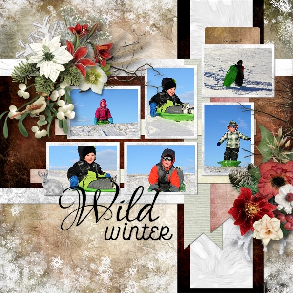 Wild Winter