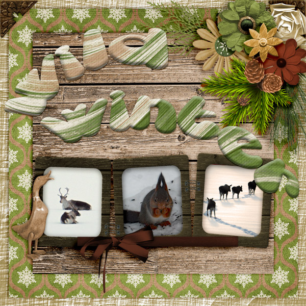 Wild-winter