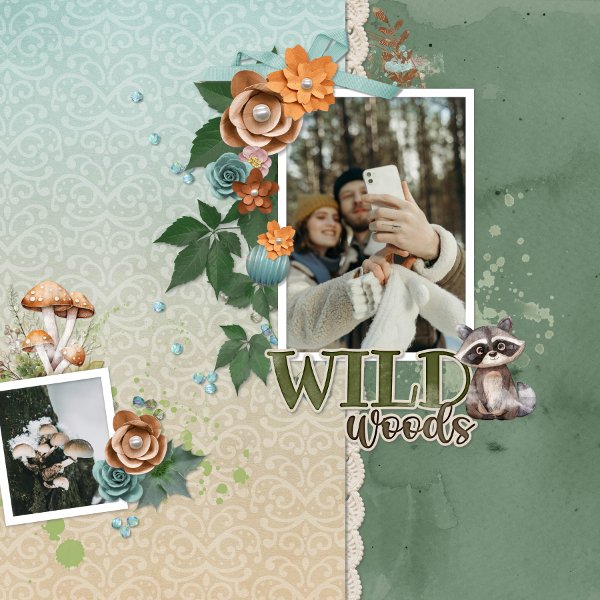 wild woods.jpg