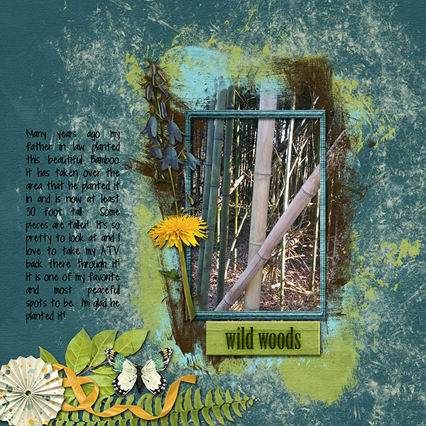 Wild Woods
