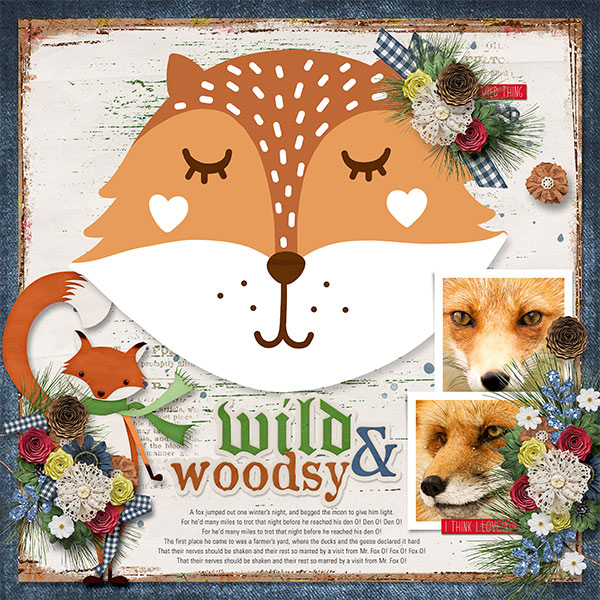 WILD + WOODSY