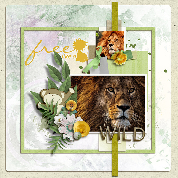 Wild