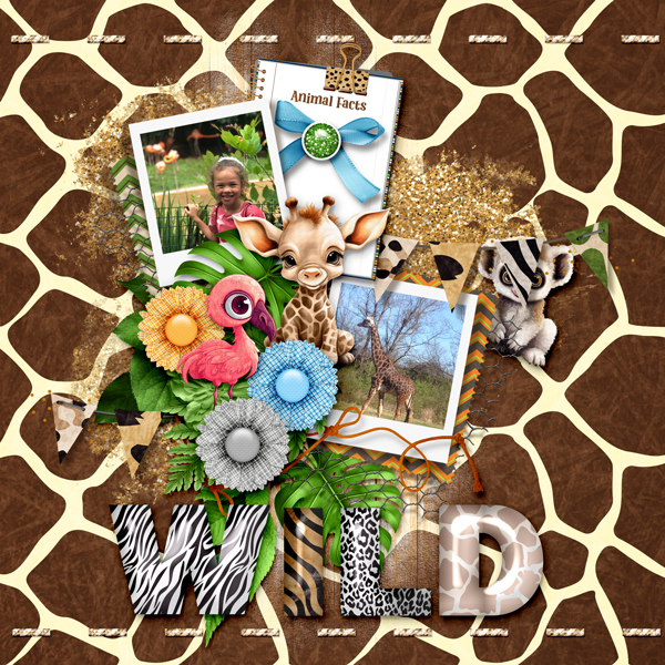 WILD