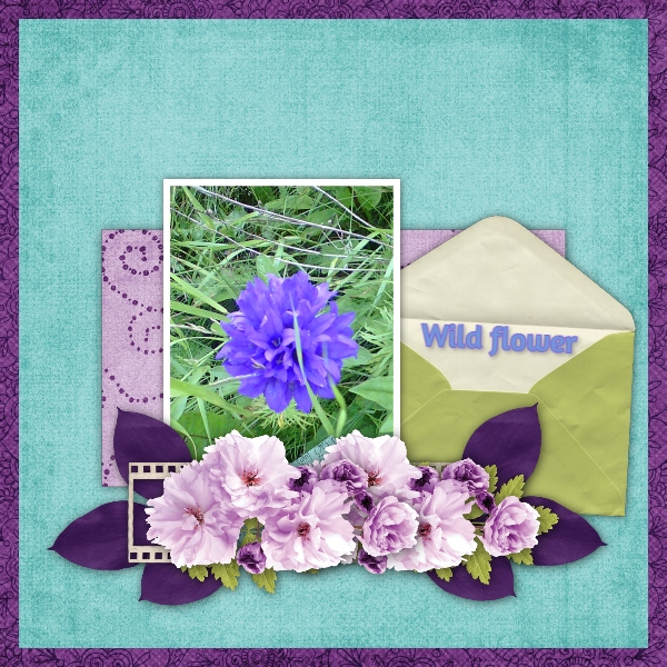 wild_flower