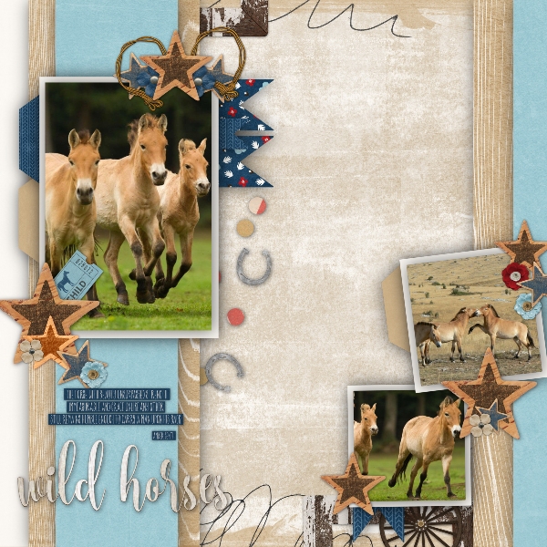 Wild_horses1