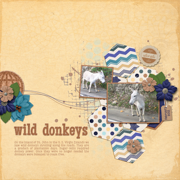 WildDonkeys