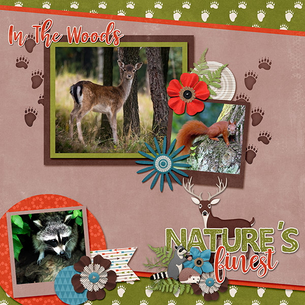 Wilderness Creatures