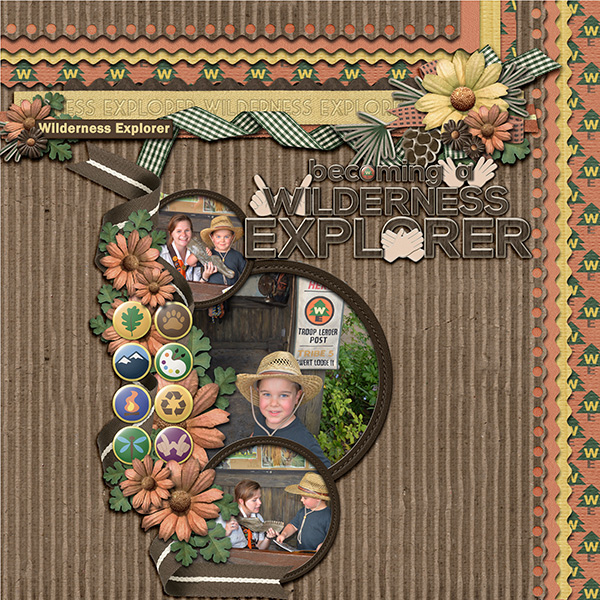 Wilderness Explorer