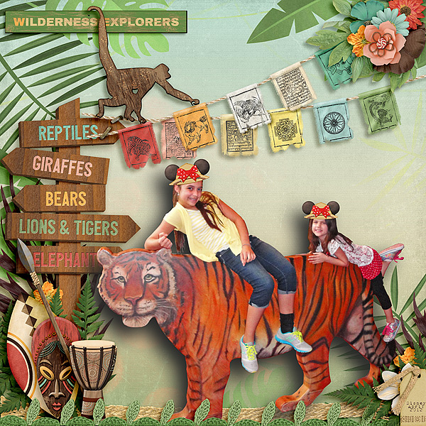 Wilderness Explorers