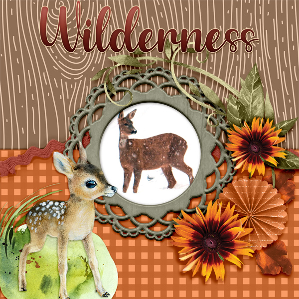 Wilderness