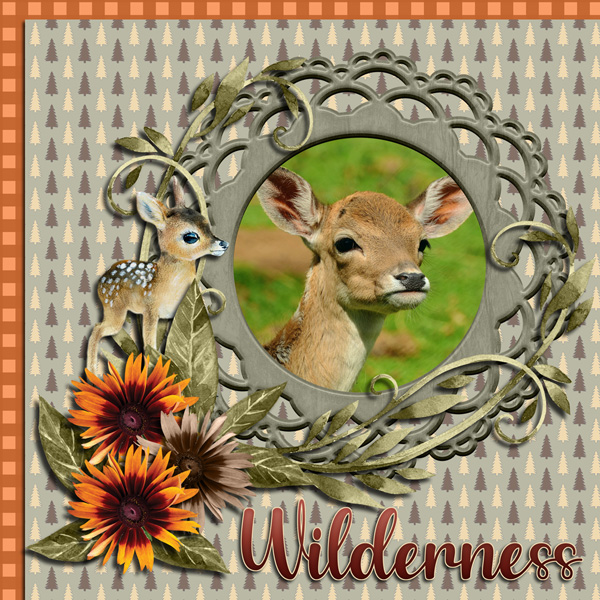 Wilderness