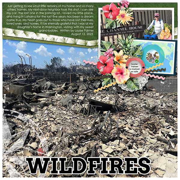 Wildfires