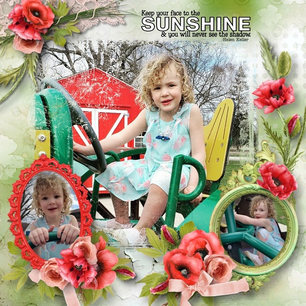 Wildflower Aliya Farm