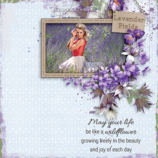 Wildflower Soul