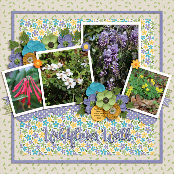 Wildflower Walk